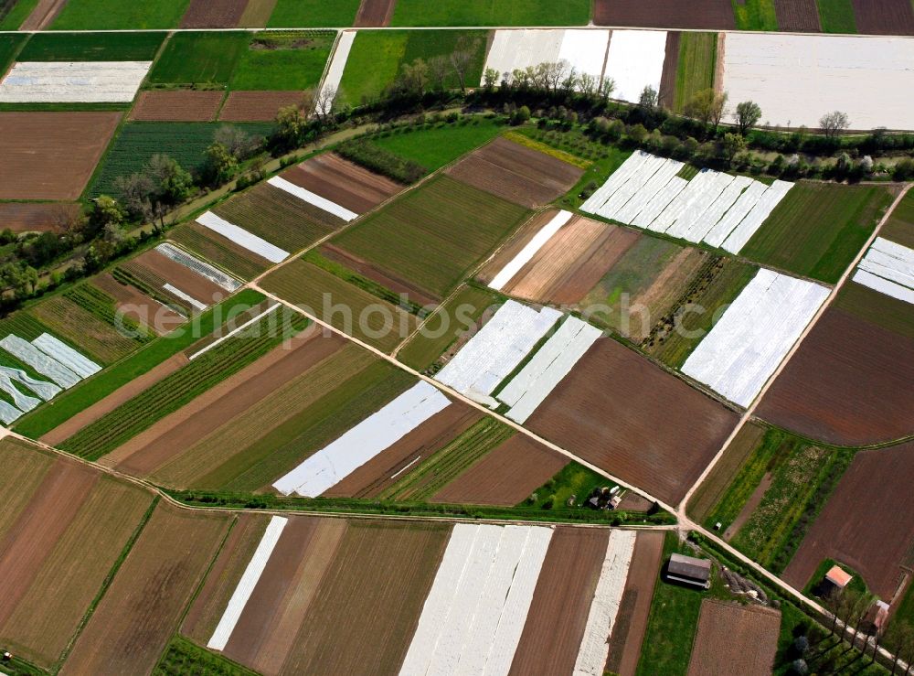 Aerial photograph Waiblingen - View of tree and field structures near Waiblingen in the state Baden-Wuerttemberg