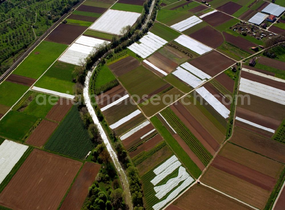 Waiblingen from above - View of tree and field structures near Waiblingen in the state Baden-Wuerttemberg