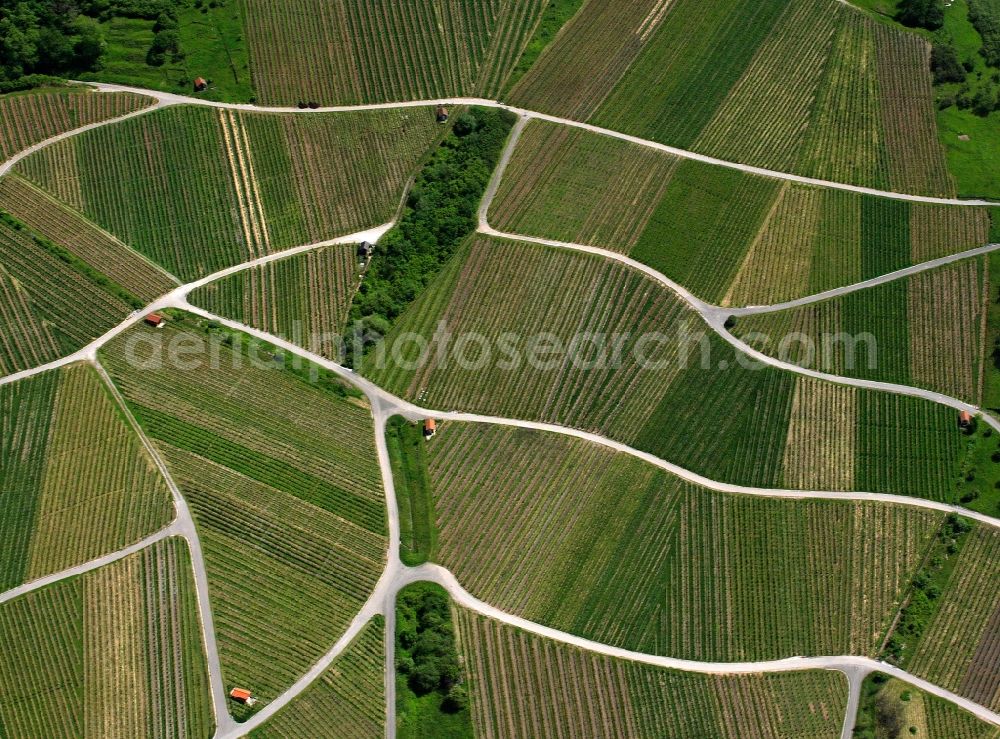 Waiblingen from the bird's eye view: View of tree and field structures near Waiblingen in the state Baden-Wuerttemberg