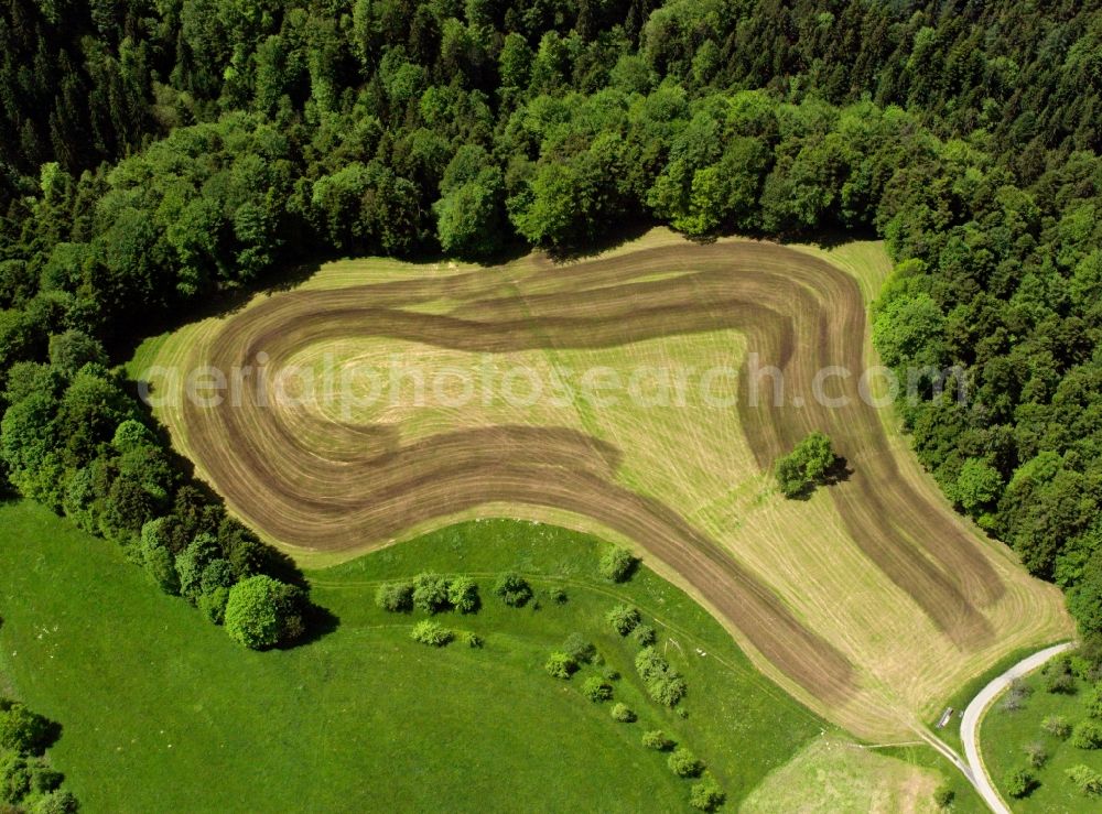 Aerial image Waiblingen - View of tree and field structures near Waiblingen in the state Baden-Wuerttemberg