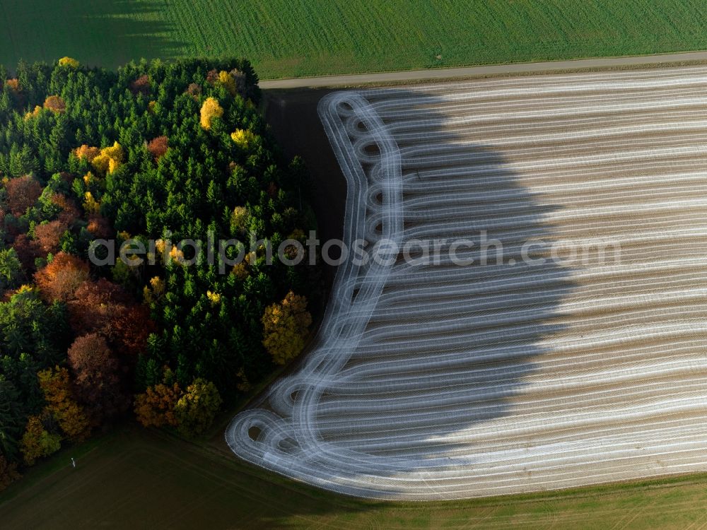 Aerial image Breitenbrunn ( Oberpfalz ) - View of tree-field structures at Breitenbrunn landscape in Bavaria, Germany