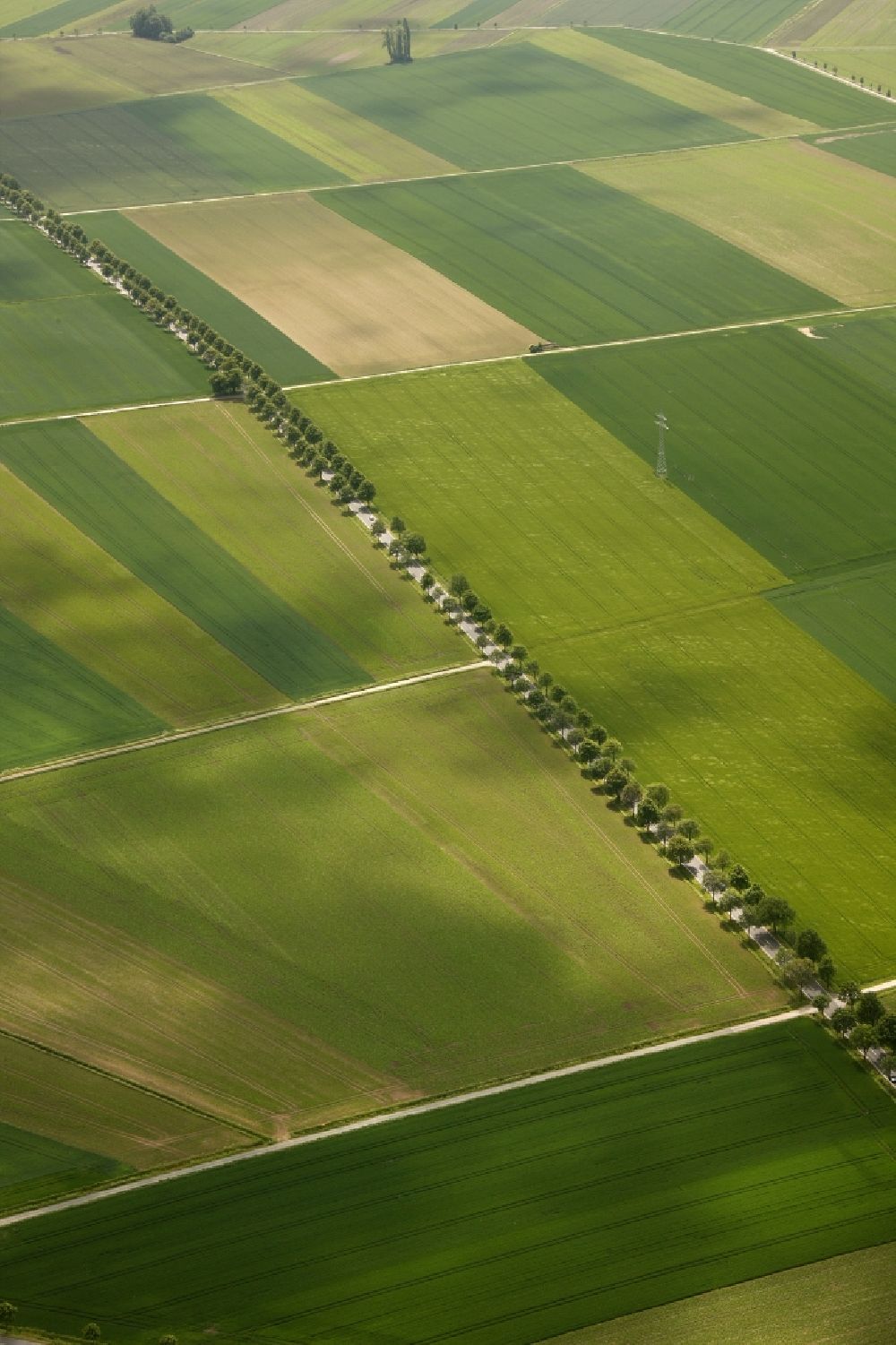 Aerial photograph Emmerthal OT Grohnde - View of tree and field structures in the district of Grohnde in Emmerthal in the state of Lower Saxony
