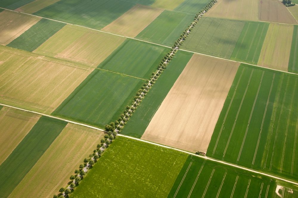 Aerial photograph Emmerthal OT Grohnde - View of tree and field structures in the district of Grohnde in Emmerthal in the state of Lower Saxony