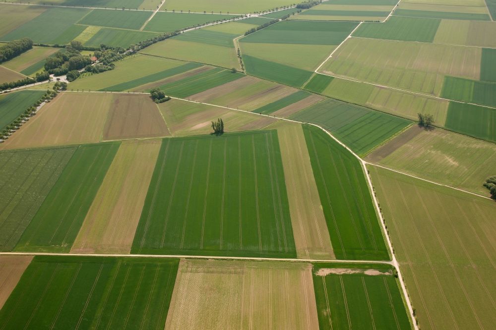 Aerial image Emmerthal OT Grohnde - View of tree and field structures in the district of Grohnde in Emmerthal in the state of Lower Saxony