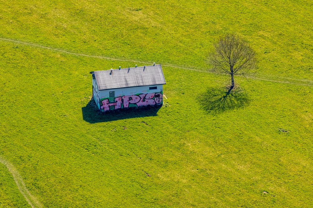 Aerial image Wetter (Ruhr) - Tree and hut with graffiti on a meadow in Wetter (Ruhr) at Ruhrgebiet in the state North Rhine-Westphalia, Germany