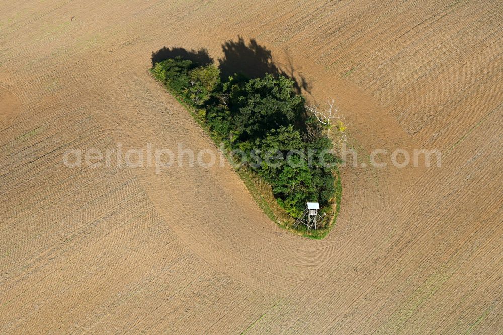 Aerial image Gollmitz - Island of trees in a harvested and plowed up field in Gollmitz Uckermark in the state Brandenburg, Germany