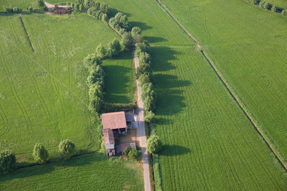 Marmirolo from the bird's eye view: Island of trees in a field in Marmirolo in the Lombardy, Italy