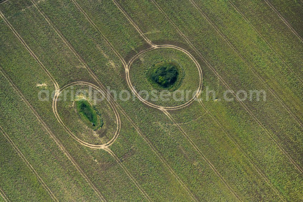 Neuenpleen from above - Islands of trees in a field in Neuenpleen in the state Mecklenburg - Western Pomerania, Germany