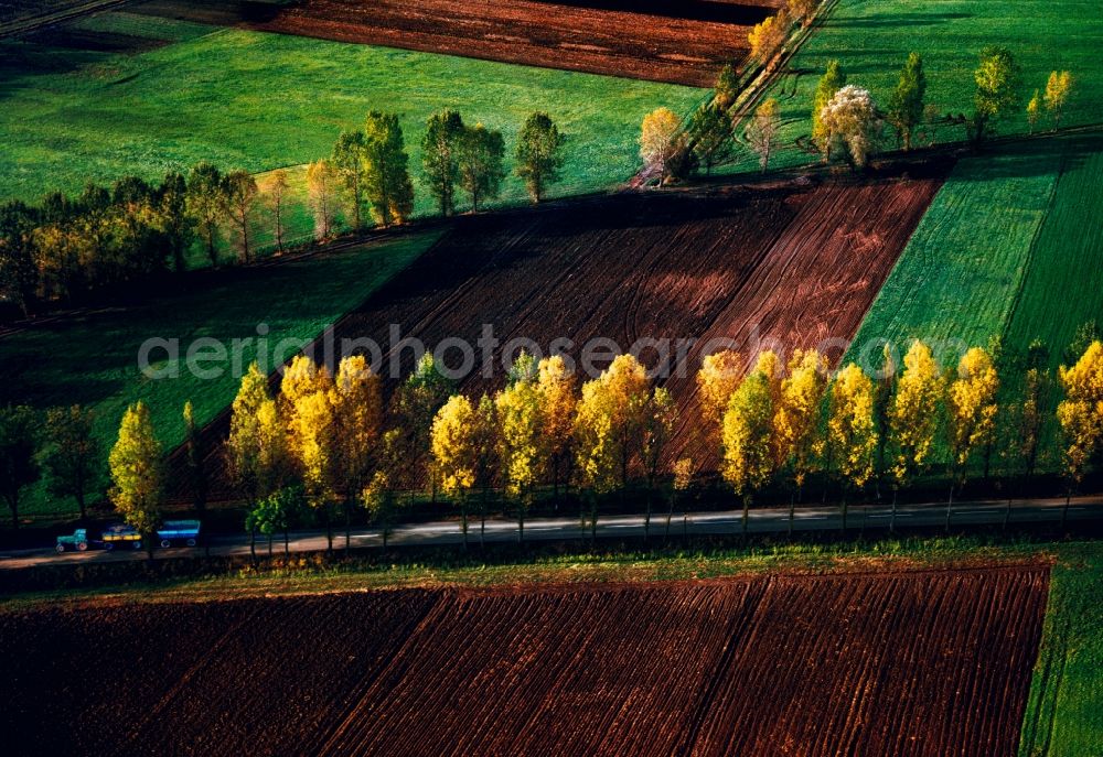Aerial image Grafenrheinfeld - Tree - Landscape with field - structures on summer, harvested corn - fields in Grafenrheinfeld in Bavaria