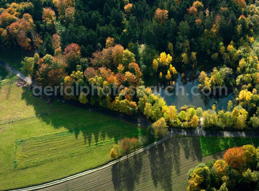 Aerial photograph Waiblingen - Tree - Landscape with field - structures to late-summer, harvested corn - fields in Waiblingen in the state of Baden-Württemberg