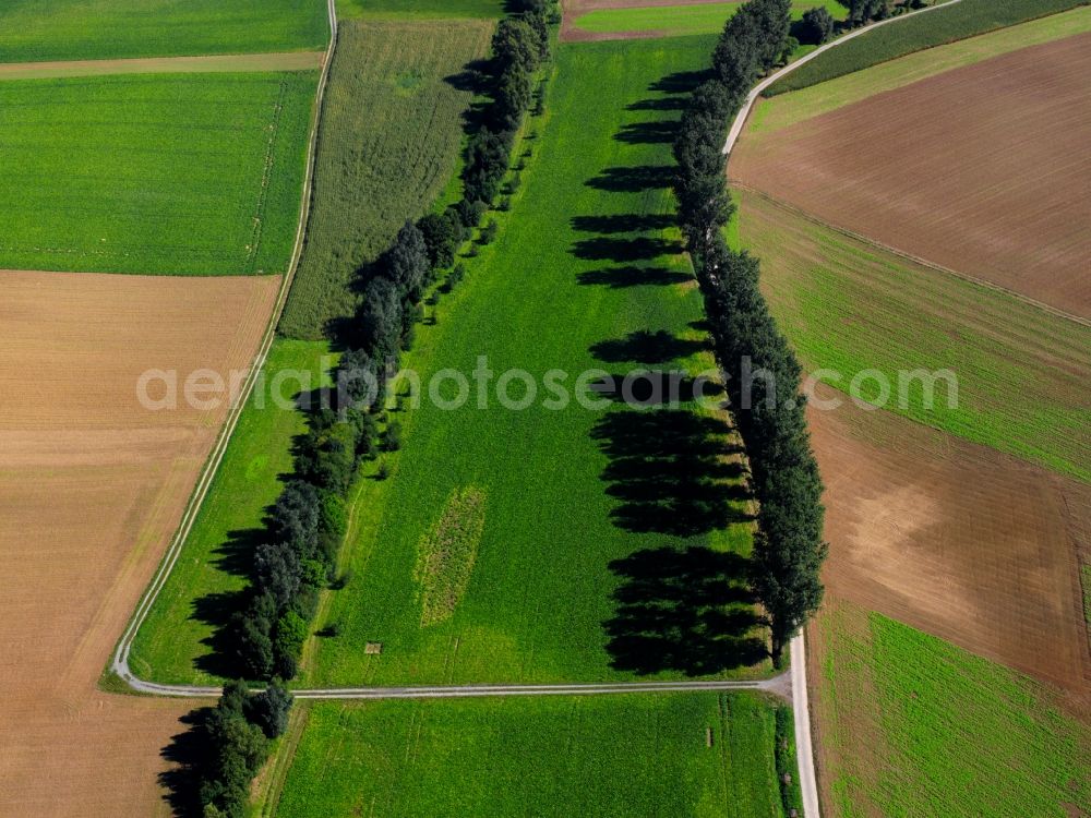 Aerial photograph Heilbronn - Tree - Landscape with field - structures on summer, harvested corn - fields near Heilbronn in Baden-Württemberg