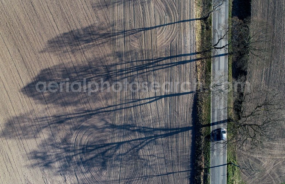Treplin from the bird's eye view: Tree with shadow forming by light irradiation on a field in Treplin in the state Brandenburg, Germany