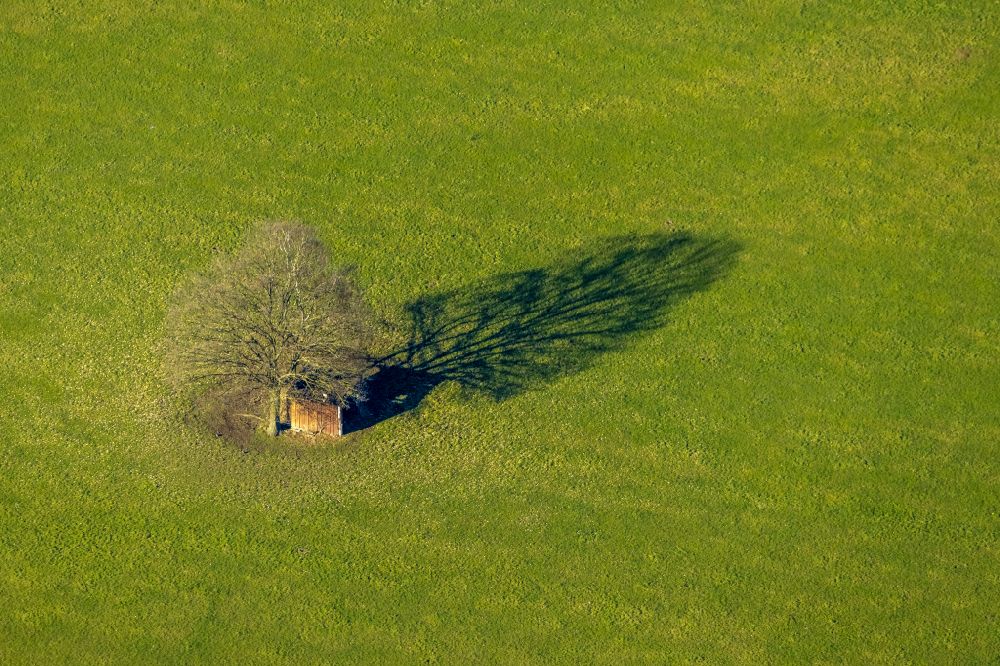 Aerial image Schmallenberg - Tree with shadow formation due to light radiation on a meadow in Schmallenberg in the Sauerland in the state of North Rhine-Westphalia, Germany