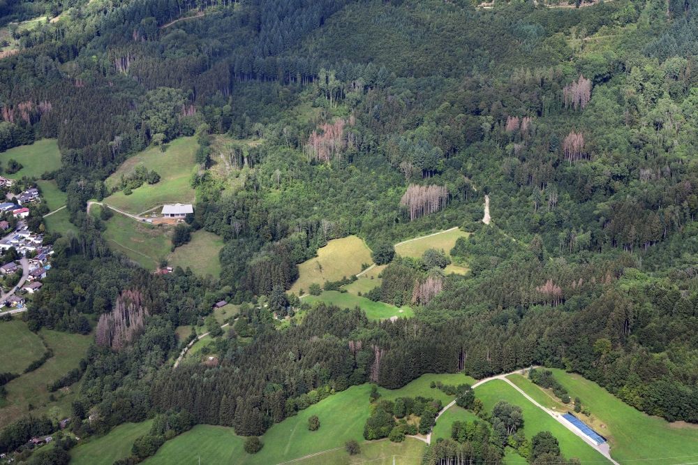 Aerial image Wehr - Damage by bark beetle and dryness in a wooded area with spruce trees in Wehr (Baden) in the state Baden-Wuerttemberg, Germany