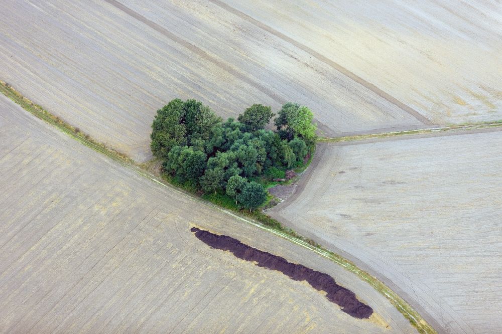 Aerial photograph Datteln - View of a heart-shaped cluster of trees in fields in dates in North Rhine-Westphalia