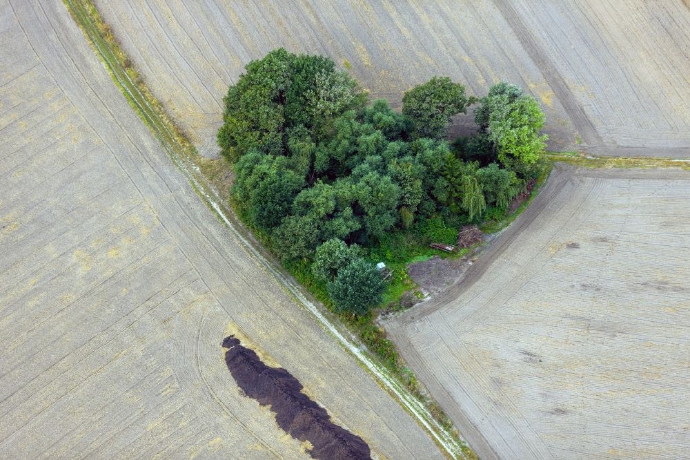 Datteln from above - View of a heart-shaped cluster of trees in fields in dates in North Rhine-Westphalia