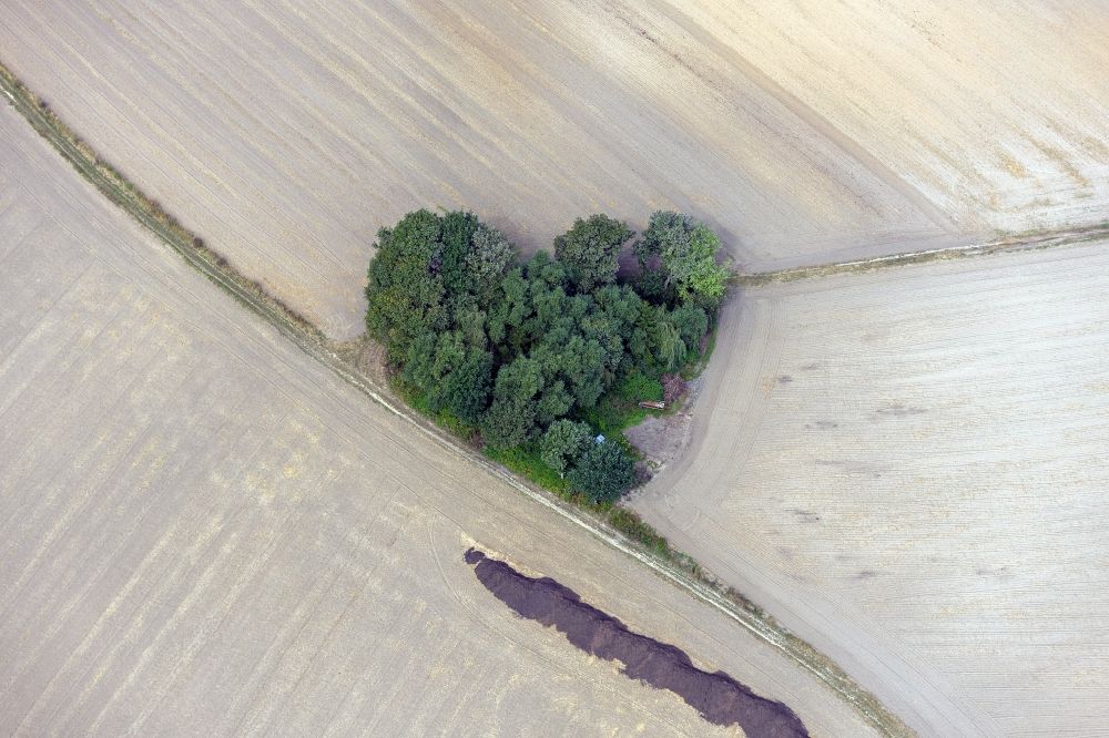 Datteln from the bird's eye view: View of a heart-shaped cluster of trees in fields in dates in North Rhine-Westphalia