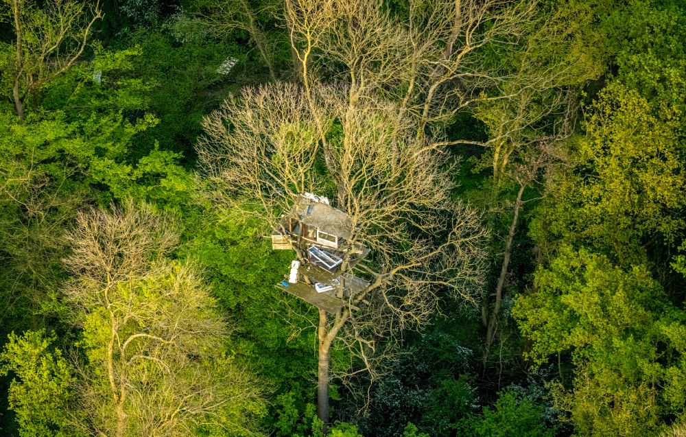 Kerpen from above - Protest tree house remains in the deciduous and mixed forest treetops in a forest area of the Hambacher Forest in Kerpen in the state of North Rhine-Westphalia, Germany