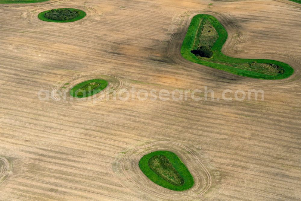 Tützpatz from the bird's eye view: Island of trees in a field in Tuetzpatz in the state Mecklenburg - Western Pomerania, Germany