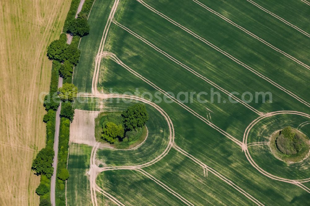 Aerial image Goosefeld - Tree islands in a field landscape in Goosefeld in the state Schleswig-Holstein, Germany