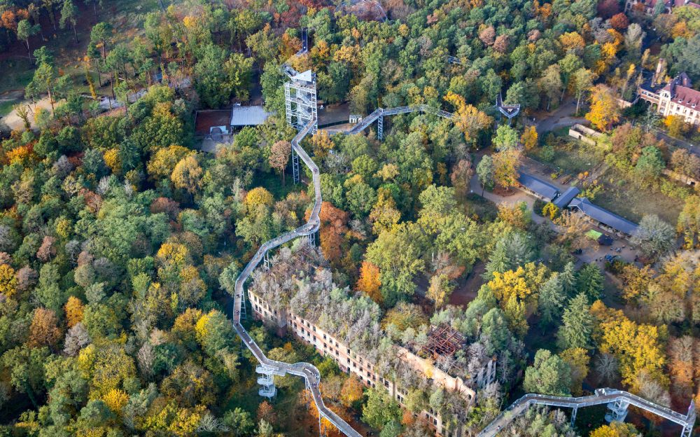 Beelitz from above - Forest and park- landscape - building with Baum & Zeit Baumkronenpfad in Beelitz in the state Brandenburg