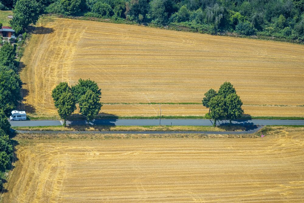 Aerial image Castrop-Rauxel - Row of trees in a field edge on street Dorlohstrasse in the district Schwerin in Castrop-Rauxel at Ruhrgebiet in the state North Rhine-Westphalia, Germany