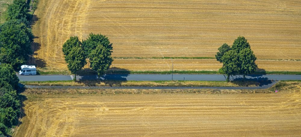 Aerial photograph Castrop-Rauxel - Row of trees in a field edge on street Dorlohstrasse in the district Schwerin in Castrop-Rauxel at Ruhrgebiet in the state North Rhine-Westphalia, Germany