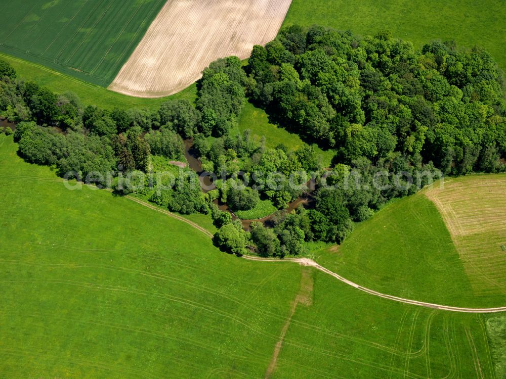 Aerial image Gutenzell-Hürbel - Row of trees in a field edge in Gutenzell-Huerbel in the state Baden-Wuerttemberg, Germany