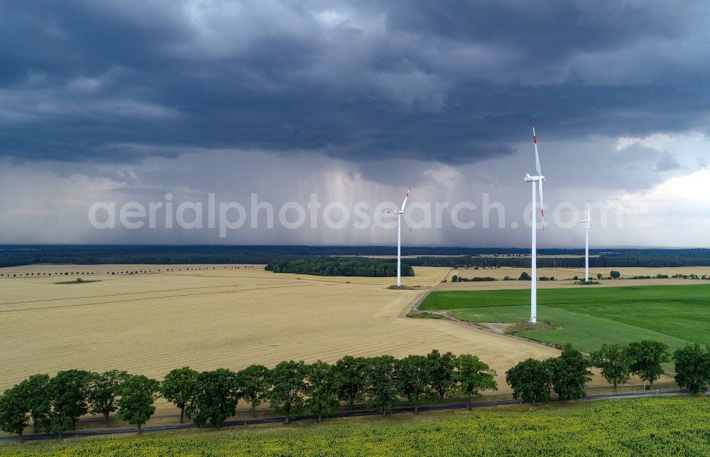 Aerial photograph Petersdorf - Row of trees in a field edge in Petersdorf in the state Brandenburg, Germany