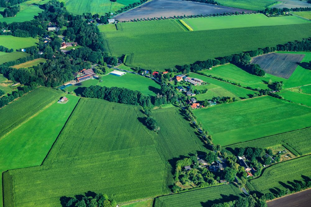 Aerial image Reith - Row of trees in a field edge in Reith in the state Lower Saxony, Germany