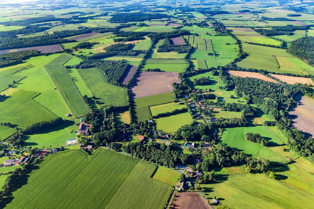 Aerial image Reith - Row of trees in a field edge in Reith in the state Lower Saxony, Germany