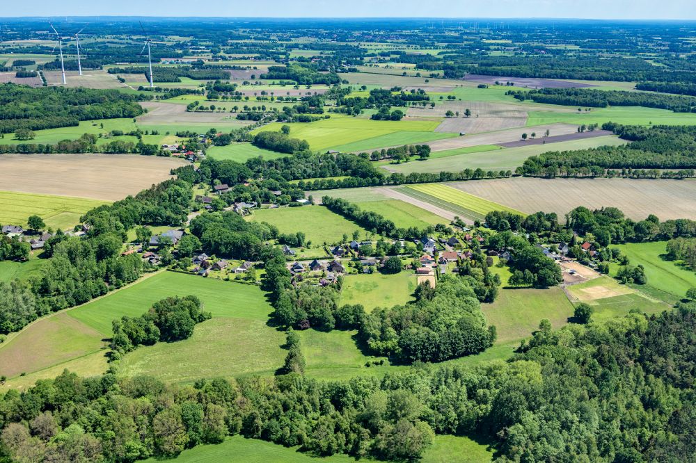 Reith from above - Row of trees in a field edge in Reith in the state Lower Saxony, Germany
