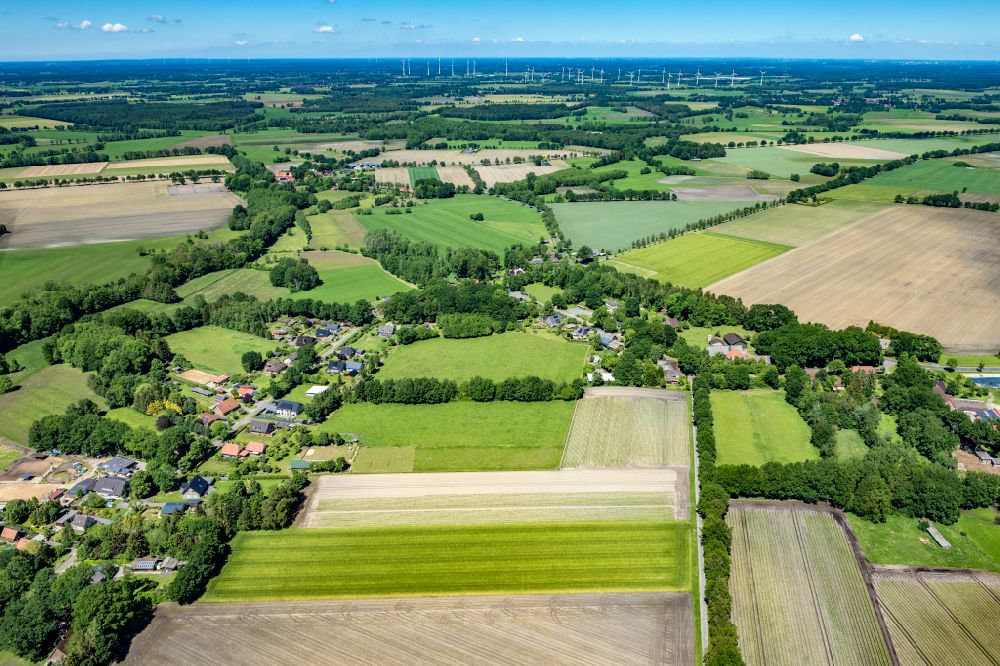 Aerial photograph Reith - Row of trees in a field edge in Reith in the state Lower Saxony, Germany