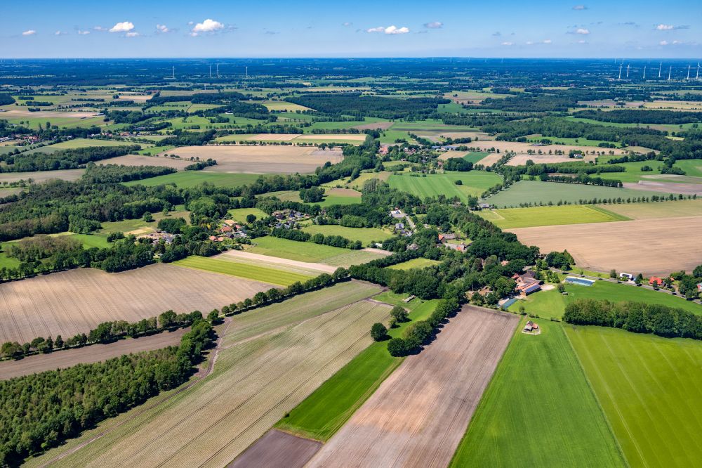 Aerial photograph Reith - Row of trees in a field edge in Reith in the state Lower Saxony, Germany