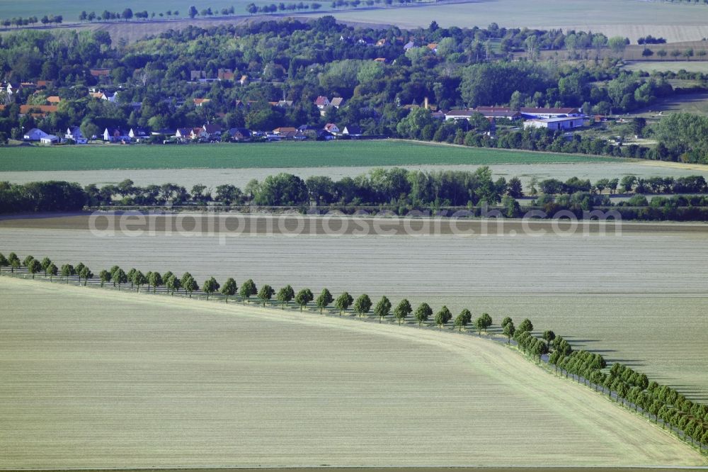 Schachdorf Ströbeck from above - Row of trees in a field edge in Schachdorf Stroebeck in the state Saxony-Anhalt, Germany