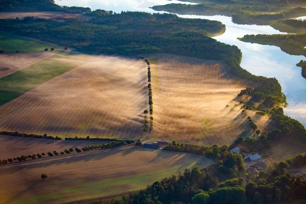 Aerial image Seedorf - Row of trees in a field edge in Seedorf in the state Schleswig-Holstein, Germany
