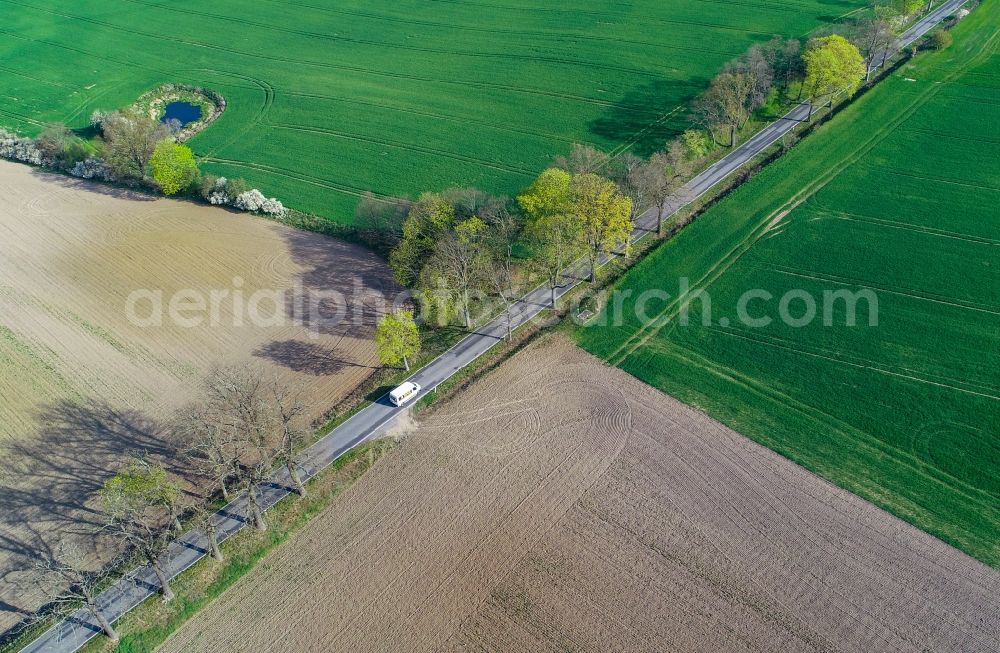 Sieversdorf from the bird's eye view: Row of trees in a field edge in Sieversdorf in the state Brandenburg, Germany