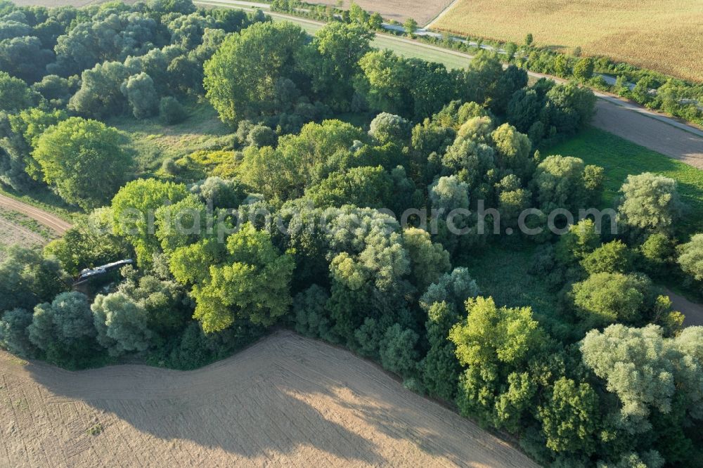 Sulzfeld from above - Row of trees and digging in a field edge in Sulzfeld in the state Baden-Wuerttemberg