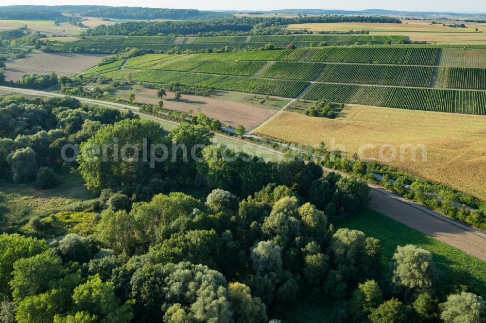 Aerial image Sulzfeld - Row of trees and digging in a field edge in Sulzfeld in the state Baden-Wuerttemberg