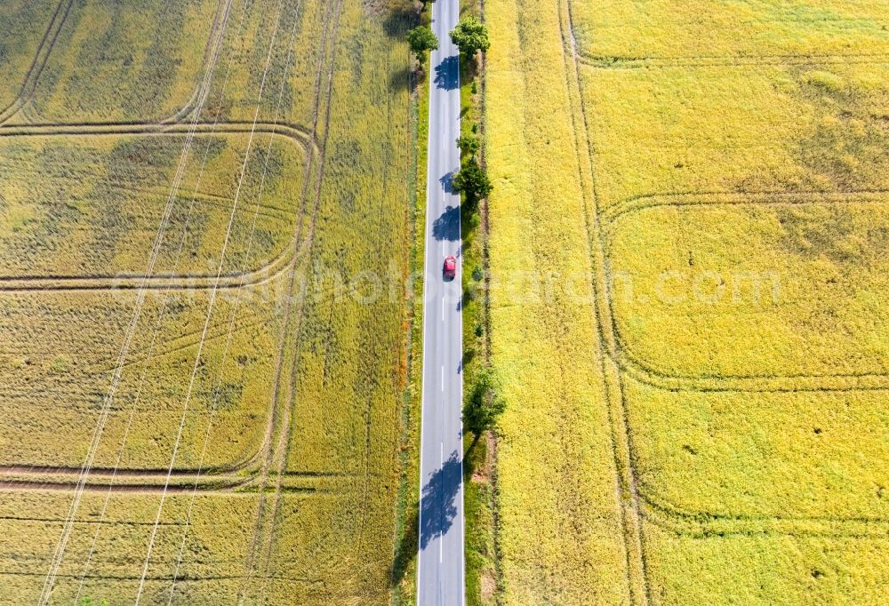 Aerial image Bobbau - Row of trees on a country road on a field edge in Bobbau in the state Saxony-Anhalt, Germany