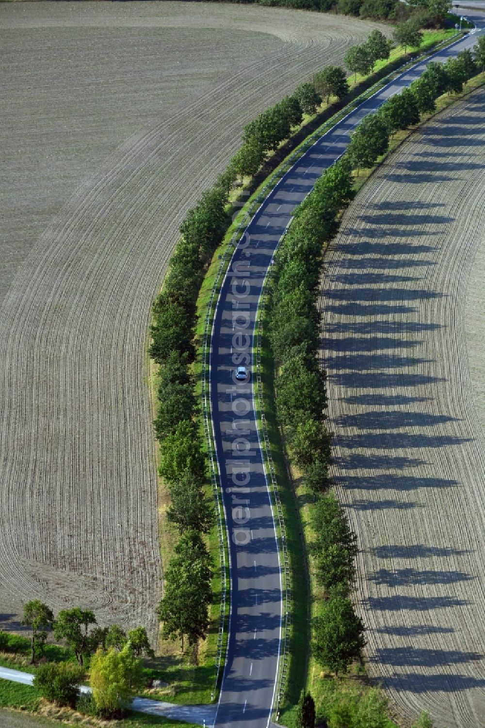 Flechtingen from above - Row of trees on a country road on a field edge in Flechtingen in the state Saxony-Anhalt, Germany