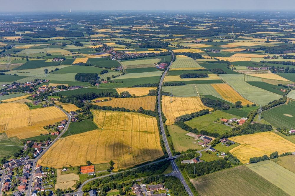Aerial image Hamm - Row of trees on the Lipperandstrasse on a field edge with farmsteads and agricultural fields in Hamm in the state North Rhine-Westphalia, Germany
