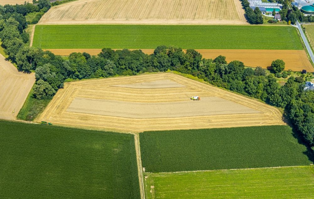Aerial image Hattrop - Row of trees on a country road on a field edge in Hattrop in the state North Rhine-Westphalia, Germany