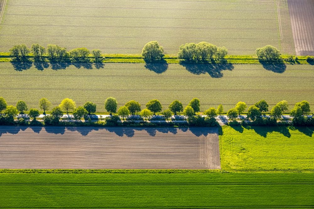 Kamen from the bird's eye view: Row of trees on the country road Derner Strasse on a field edge along the river course of the Seseke in Kamen in the state North Rhine-Westphalia, Germany