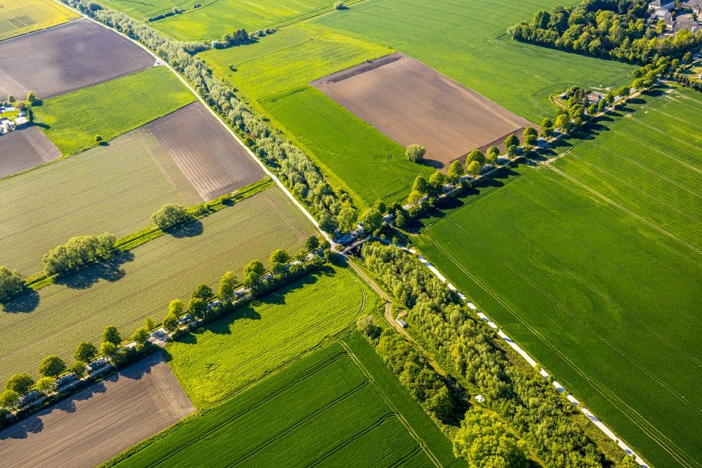 Aerial image Kamen - Row of trees on the country road Derner Strasse on a field edge along the river course of the Seseke in Kamen in the state North Rhine-Westphalia, Germany