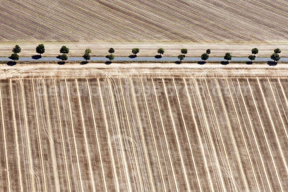 Landsberg from above - Row of trees on a country road on a field edge in Landsberg in the state Saxony-Anhalt, Germany