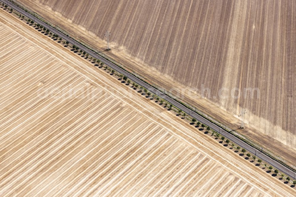 Aerial photograph Landsberg - Row of trees on a country road on a field edge in Landsberg in the state Saxony-Anhalt, Germany