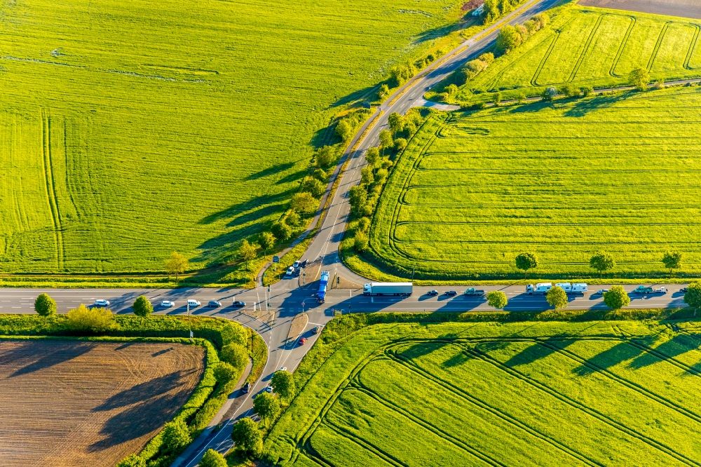 Aerial image Münster - Row of trees on a country road on a field edge with the cross roads of Freckenhorster Strasse and Telgter Strasse in Muenster in the state North Rhine-Westphalia, Germany