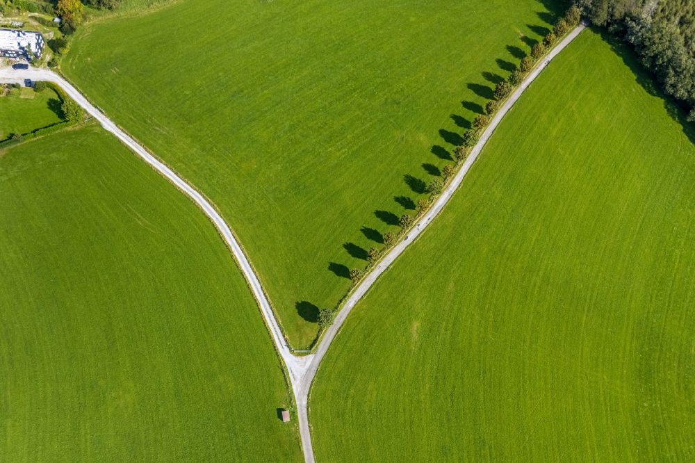 Rüggeberg from above - Row of trees on a country road on a field edge in Rueggeberg in the state North Rhine-Westphalia, Germany