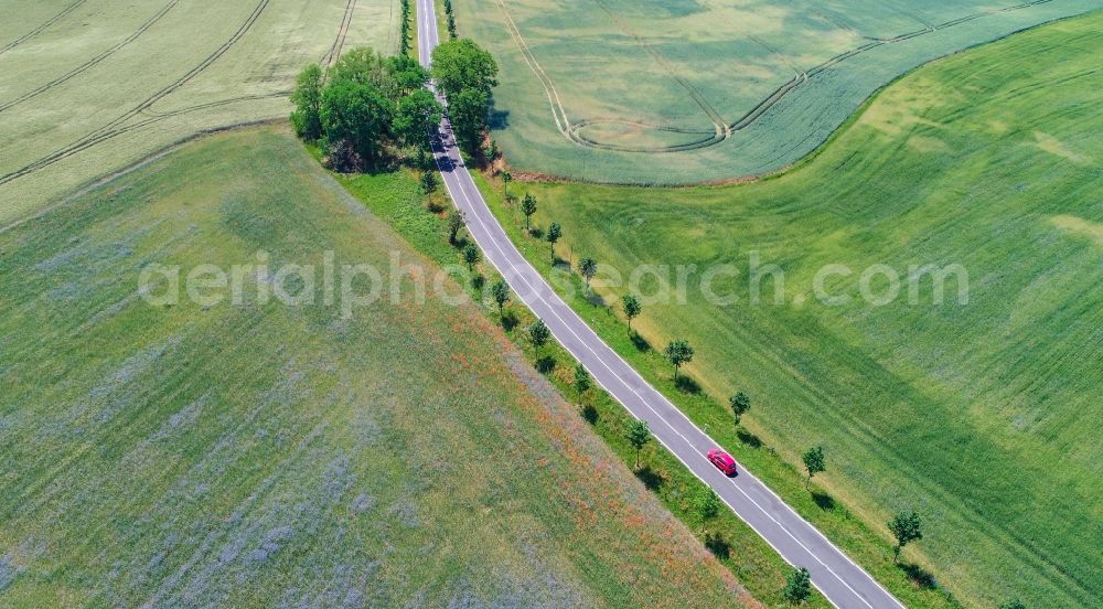 Aerial image Seelow - Row of trees on a country road on a field edge in Seelow in the state Brandenburg, Germany